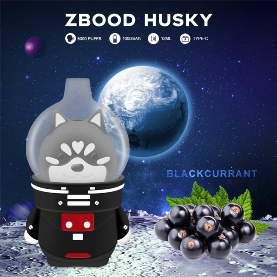 Top Picks 2024 AIM Vape Zbood Husky 10 Flavors 8000 Puffs Nederland