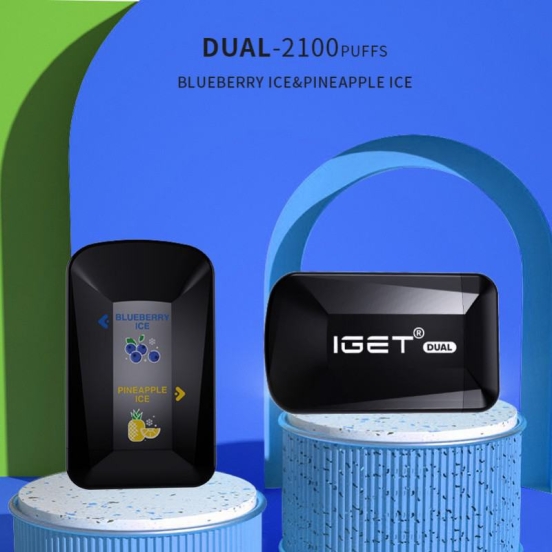 Wholesale Iget 2100 Puffs Disposable Vape