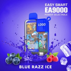 Disposable Customizable Vape Bar Ea 9000 Puffs