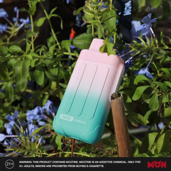 Superior Quality Sup M10 Wholesale Vape Pen