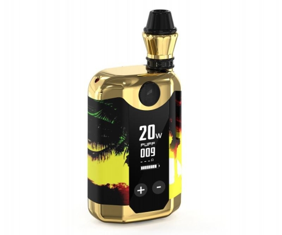 Customizable KANG 420v 2500 Puffs Vape Pens