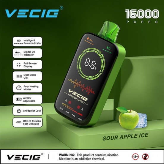 Disposable VECIG Vape Vecig Fs Turbo 16000 Puffs Pens Wholesale