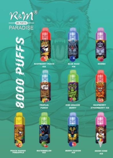 Best R&M SMOKE Disposable Vape R&m Paradise 8000 Wholesale