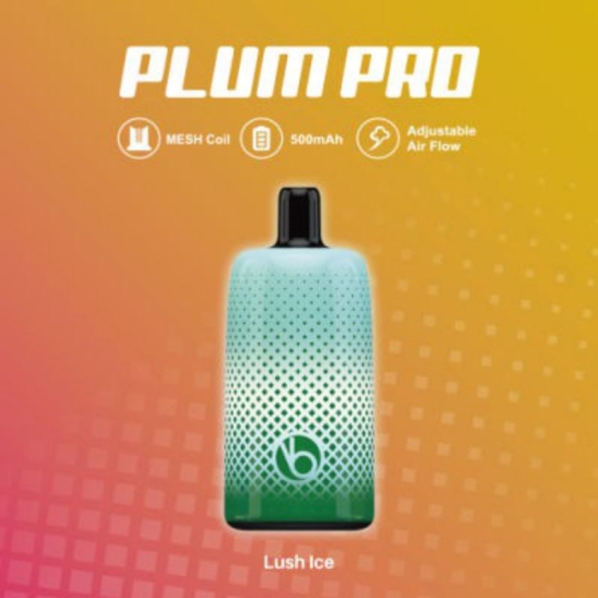 Best Quality Vbeen Vape Bar Vabeen Plum Pro 7000 Puffs
