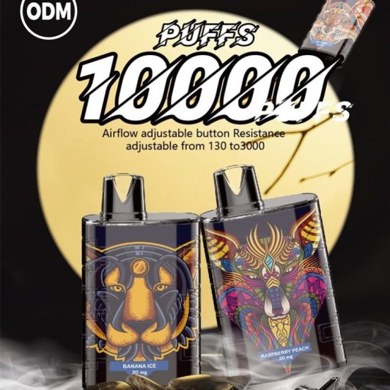 OEM Pens V11 10000 Puffs Hits Vape Puffs