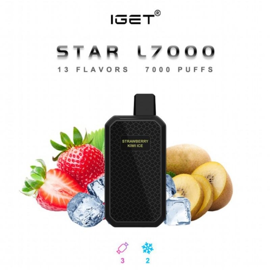 Iget 7000 Puffs Vape Price