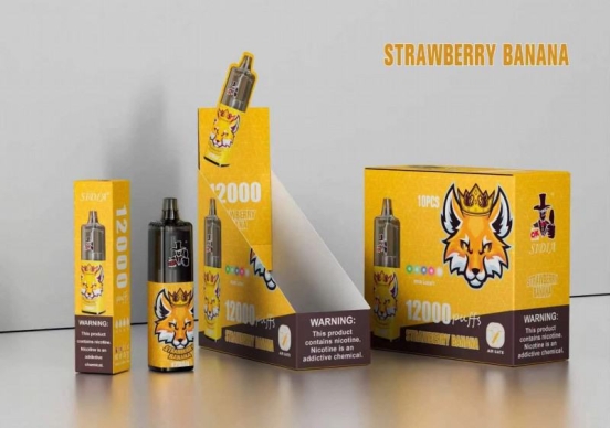 Premium Vape Pen FV Sidia 12000 Puffs Disposable Vape Brands