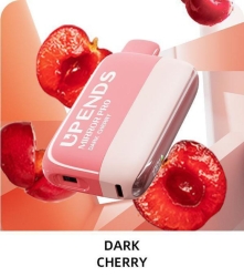 Disposable customize Lrec24 12000 Puffs Vape Pens