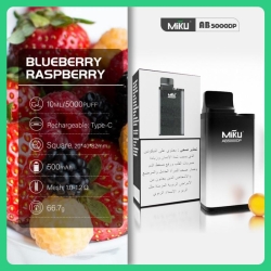 Vape Disposables shenzhen Abdp1316 5000 Puffs