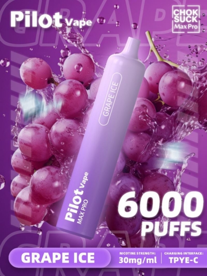 All Flavors Wholesale Disposable zbood Pilot Max Pro 6000 Vape Pens