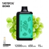 Tastefog Echo 12000 Puffs Brands Disposable Vape