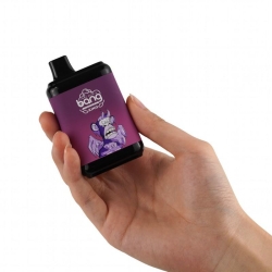 Bang Pens King 8000 Puffs