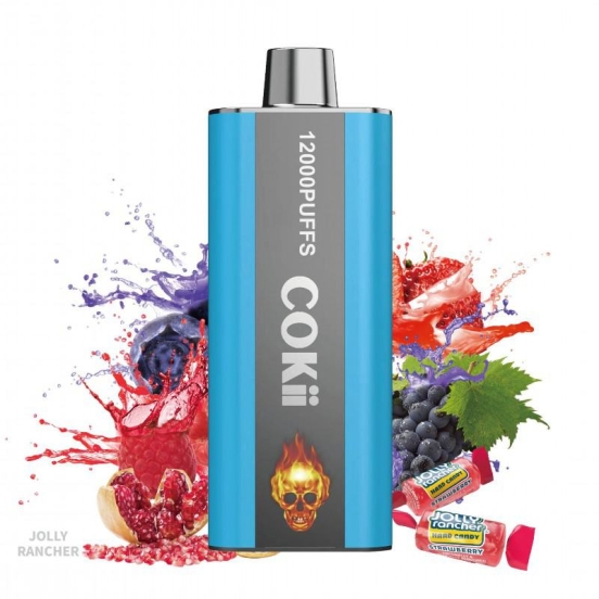 Cokii Cokii 12000 6000 Puffs Disposables Vape Wholesale