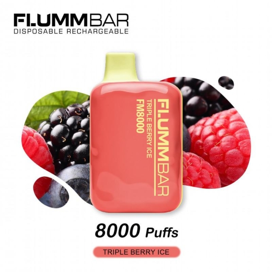 Flum Disposable Vape M 8000 Brands