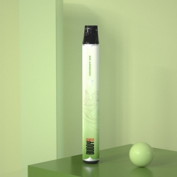 Disposable Buddy E-cigarette The Beauty Nicotine