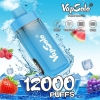 Vapsolo Tornado Pro 12k 12000 Puffs Vape Big Puff Pen Plus