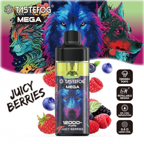 TASTEFOG/OEM Tastefog Mega 12000 Puffs Vape Wholesale Price