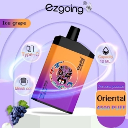 Ezgoing Ezgoing-4500 About 4500 Puffs Disposables Vape