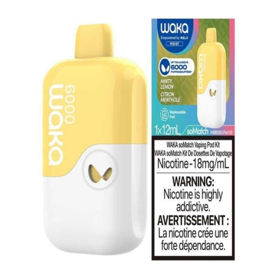 Disposable WAKA Waka Bm6000 Vape Brands