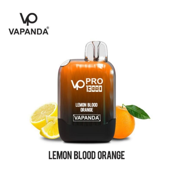 VAPANDA Vp Pro 13000 Puffs Bar