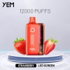 Disposable YEM Bm12s-4bs 12000 Puffs E-cigarette Nicotine