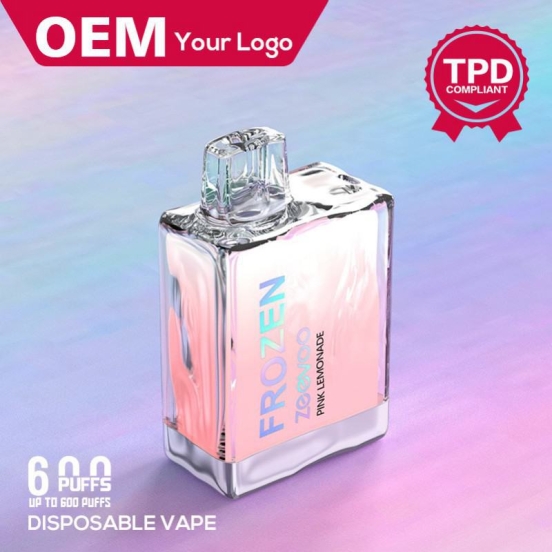 2024 Best Selling Your Logo Vape Frozen 600 Puffs Nederland