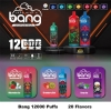 Disposable Big Hit Vape Bang B12000k