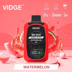 vidge Vidge 20000 Puffs Disposable Vapes