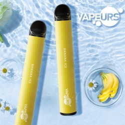 urs Urs 600 About 600 Puffs Box Vape