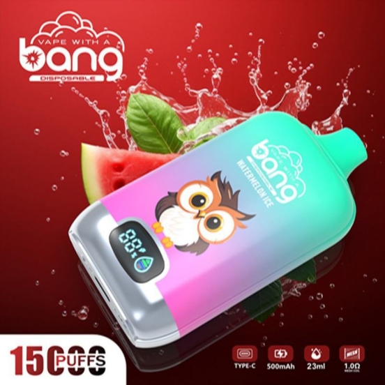 Bang Disposable Vape Brands Digital 15k  Electronic 15000 Puffs