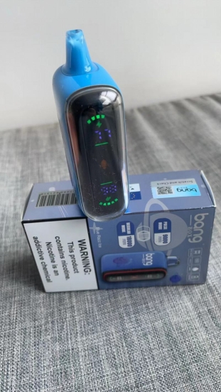 2024 Best no Disposable Vape Brands Geek Price