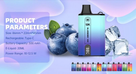 Disposable ECK Vape Eck Kkd119a 12000 Puffs Brands