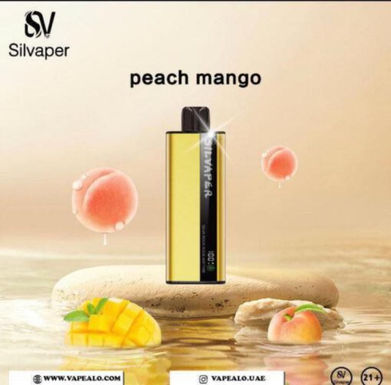 Top Sale Wholesale Disposable Vape Insta Silr Silva Rock 10000 Puffs