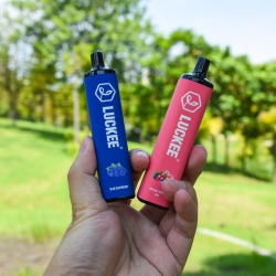 luckee or OEM Luckee S 4500 Puffs Electronic Cigarette