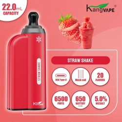 Disposable Vape Kang 6500 Brands