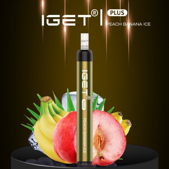 2024's Finest Vaping Iget 300 Puffs Disposable Vape Bars Wholesale