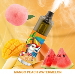 Woomi Summer 10000 Disposable Vape Pen