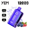 Disposable YEM Bm12s-102tz 12000 Puffs Vape Brands