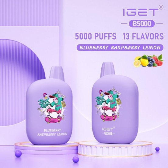 2024 Best Vape Iget B 5000 Puffs Disposable Smooth Hit Vape