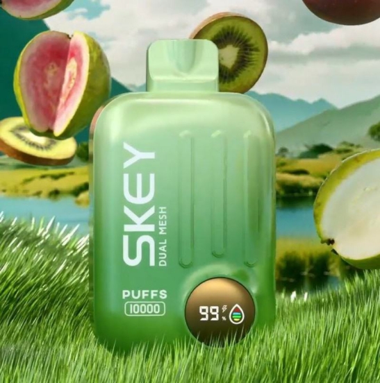 Top Picks 2024 Skey Ismart Vape