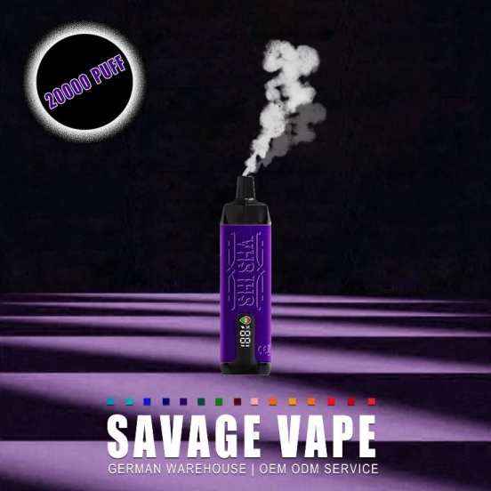 Vapme Vapanda Shisha 20000 Puffs Pen