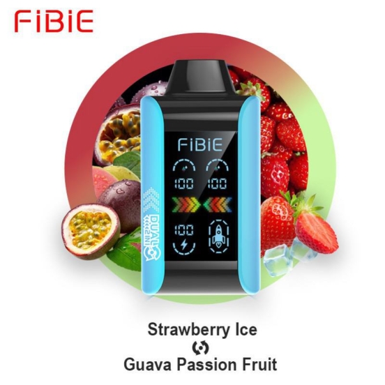 FIBIE Fibie Dual 15k 15000 Puffs Disposable Vape Pen Wholesale