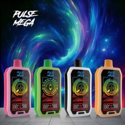 Disposable R&M Vapes Pulse Mega 250000