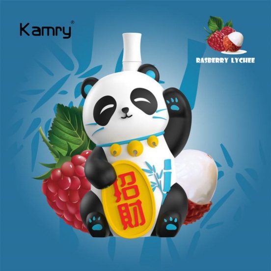 Premium Kamry 8000 Puffs Vapes