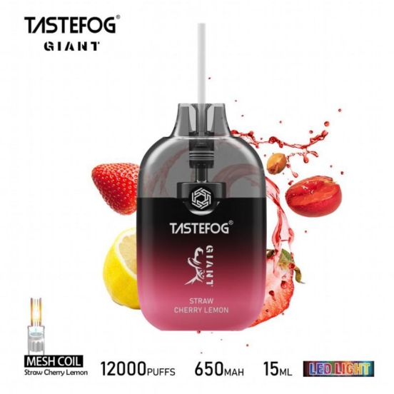 Best Quality Tastefog Giant 12000 Puffs Disposable Vape Bulk Price