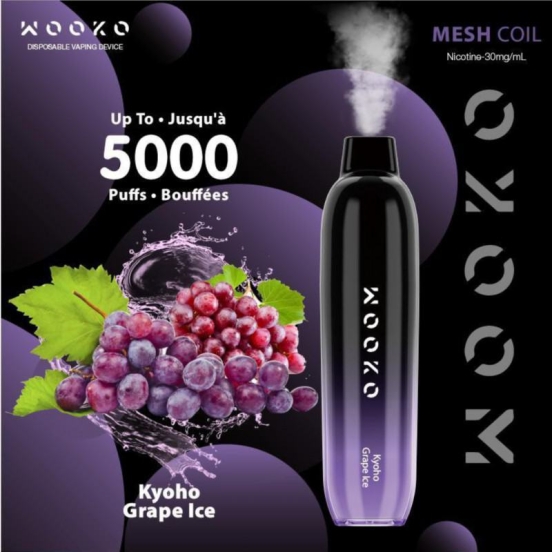 2024's Premium Vape Pen Wooko Wk05 Disposable Vape Pod