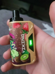 Vapsolo 12000 10000 Puffs Disposable E-cigarette Nicotine