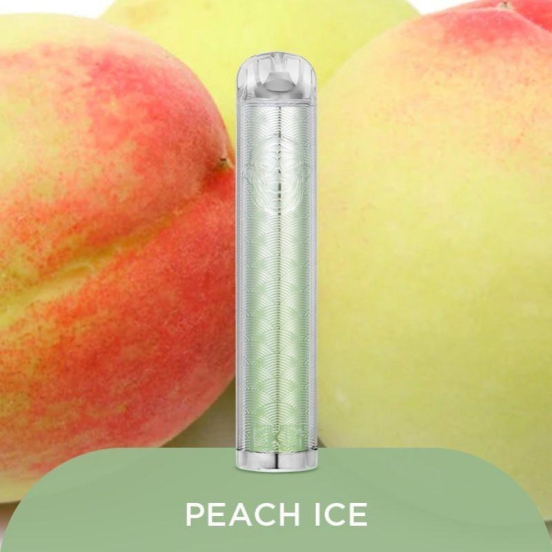 2024 Bulk Price Disposable Vape Pen Wholesale Smok Jam King Cks 3500 Puffs