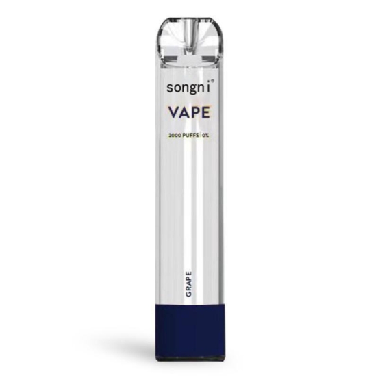 2024 Best Vape Pen Songni Songni-2000 Vape Flavors