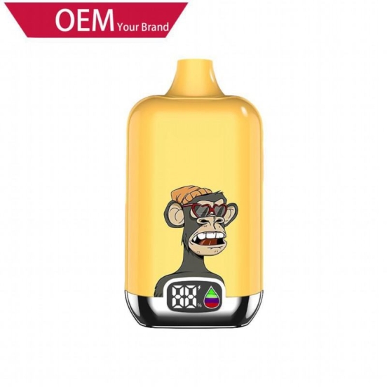 OEM ODM 12k Puffs Disposable Vapes Wholesale